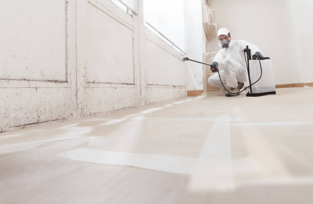 24/7 Emergency Attic Mold Removal experts in Highland Park, MI