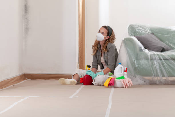 Reliable Attic Mold Removal contractor in Highland Park, MI by WQB Mold Removal